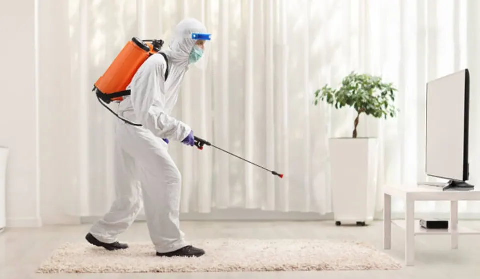 sanitation services