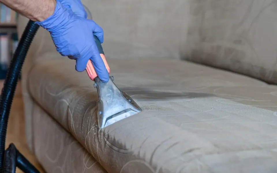 upholstery cleaning is important