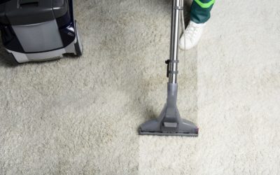 The Importance of Carpet Cleaning